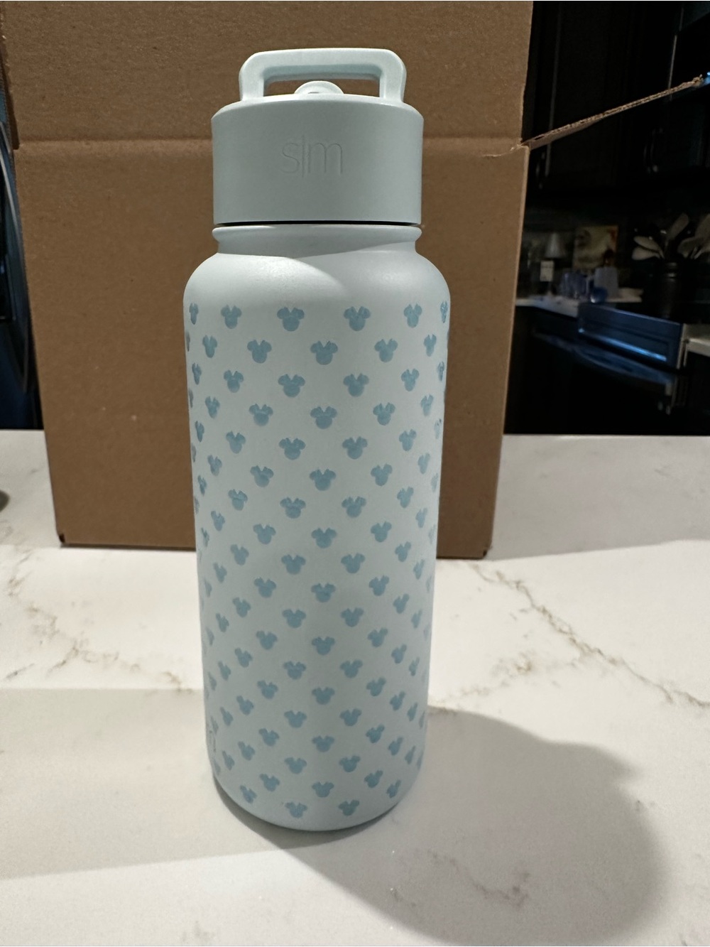 Disney Simple Modern Pale Blue Summit Water Bottle Minnie Mouse Disney 32oz